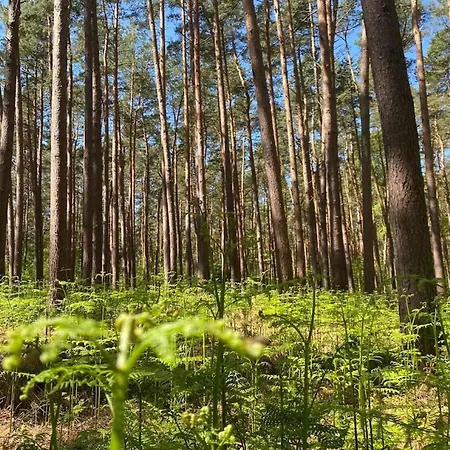 Prázdninový dům Luxurioeses In *